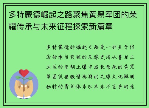 多特蒙德崛起之路聚焦黄黑军团的荣耀传承与未来征程探索新篇章